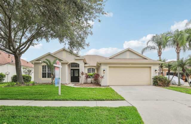 11609 JORDANS LANDING COURT - 11609 Jordans Landing Court, Riverview, FL 33569