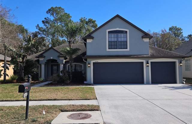 10740 RAIN LILLY PASS photos photos