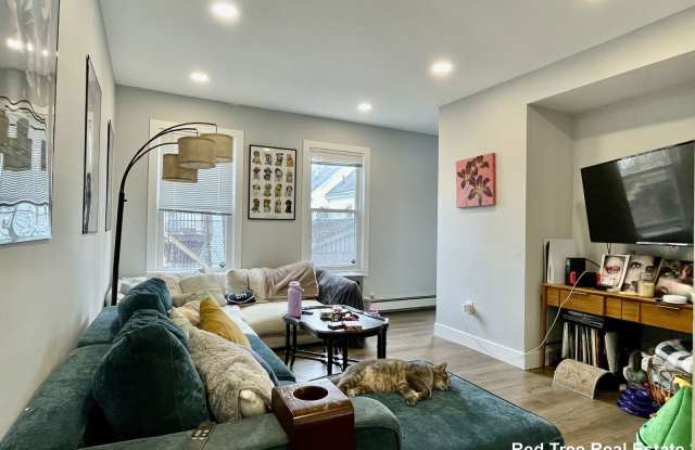 11 Pearl Terrace photos photos