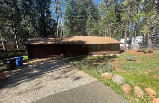 Live Amongst the Pines in Magalia photos photos