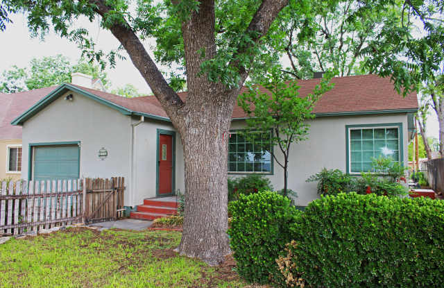 921 North Halagueno Street - 921 North Halagueno Street, Carlsbad, NM 88220