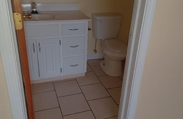120 Tonyota Ct 120 - 120 Tonyota Ct, Orangeburg County, SC 29118