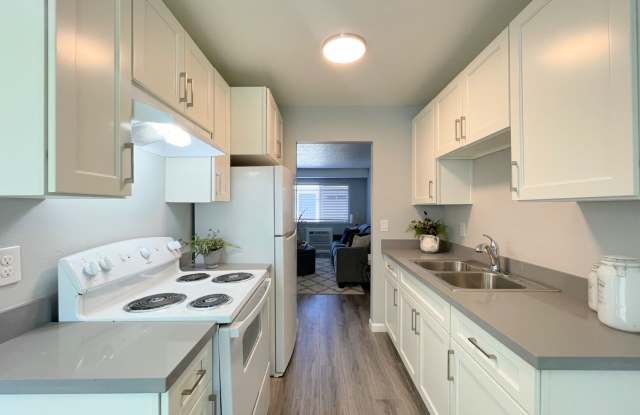 Summer Woods photos photos