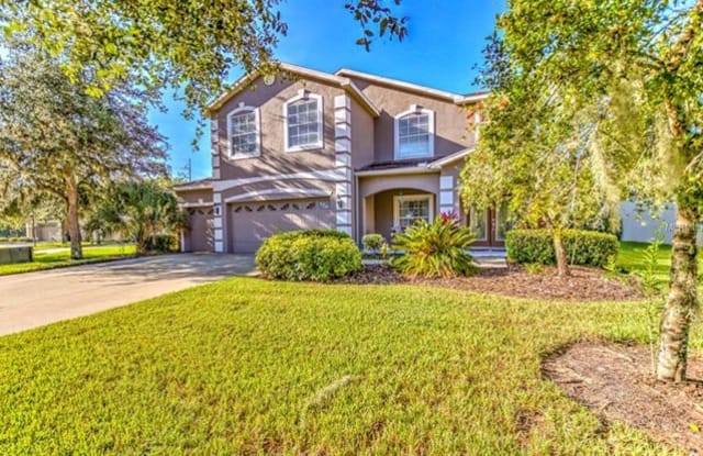 16225 Bridgepark Drive - 16225 Bridgepark Drive, Fish Hawk, FL 33547