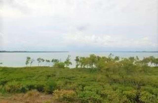 27 HARBOUR ISLE Drive W photos photos