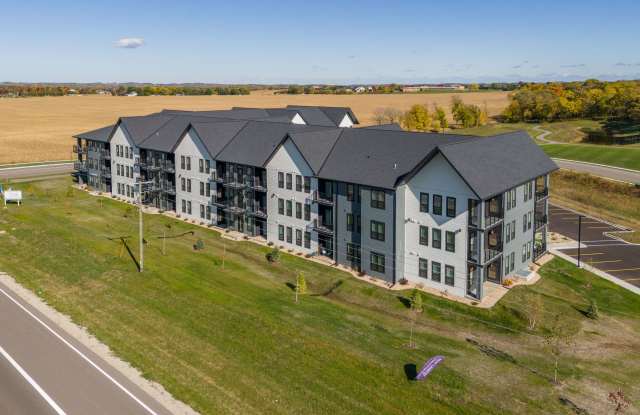 The Fifty One - Building A Gallery 2