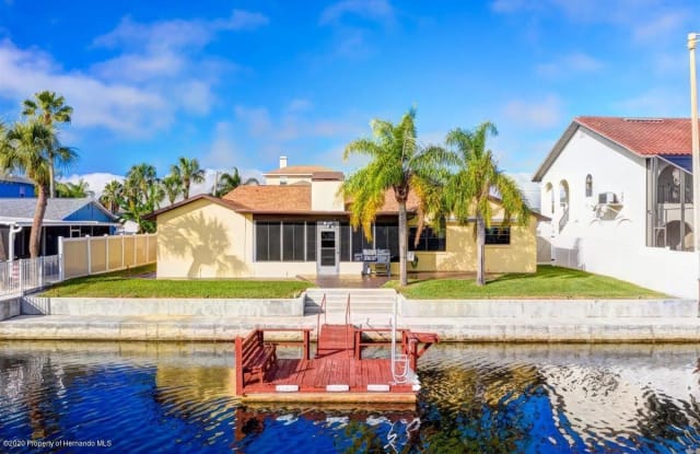 4136 Camelia Drive - 4136 Camelia Drive, Hernando Beach, FL 34607