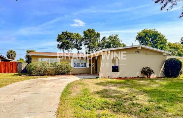 733 Ibsen Avenue - 733 Ibsen Avenue, Sky Lake, FL 32809