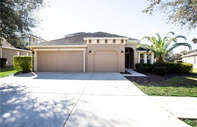 15651 STARLING WATER DRIVE - 15651 Starling Water Dr, Fish Hawk, FL 33547