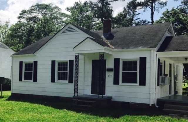 255 Sloan Street - 255 Sloan Street, Wallace, NC 28466