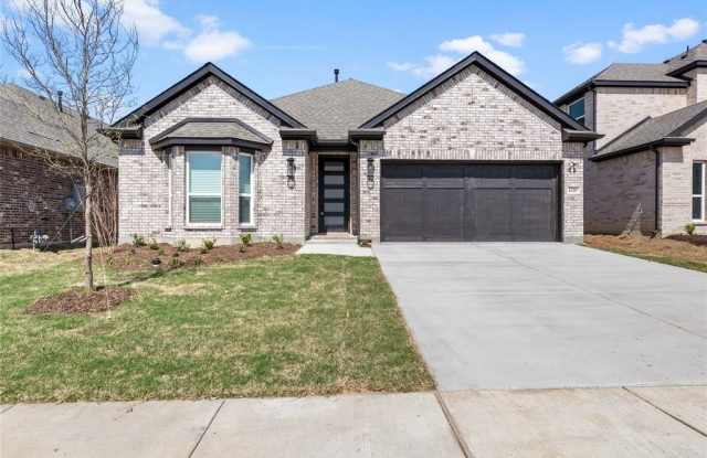 6205 Tahoe Winds Drive - 6205 Tahoe Winds Drive, Denton County, TX 75009