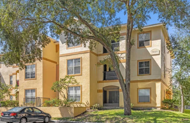 5610 PINNACLE HEIGHTS CIRCLE - 5610 Pinnacle Heights Circle, Carrollwood, FL 33624