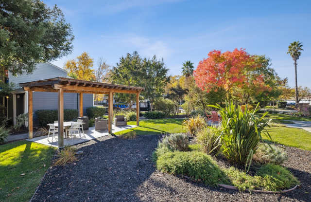 Vineyard Gardens Gallery 4