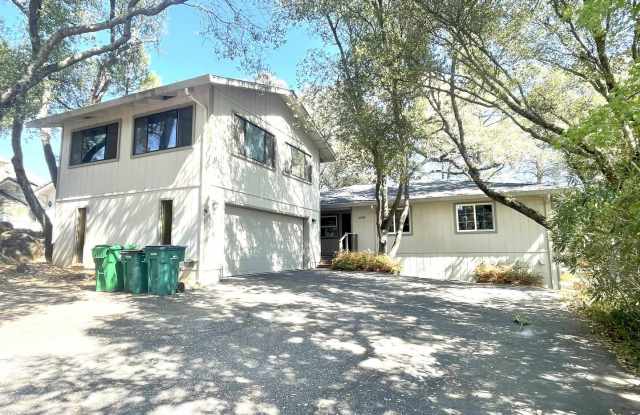 3/2 plus a large bonus room-Home on golf course in Lake Wildwood, Penn Valley, CA photos photos