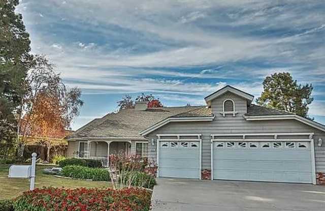 Coming Soon! photos photos