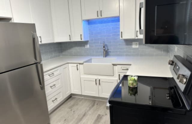 509 E 31st Street 2 - 509 East 31st Street, La Grange Park, IL 60526