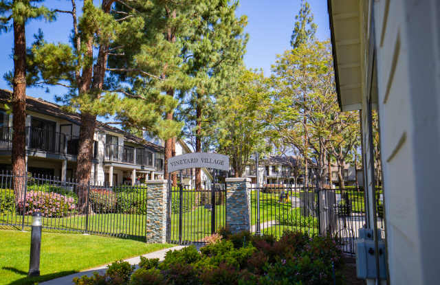 Vineyard Village Gallery 2