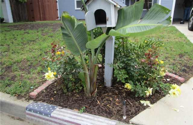913 Arbor Street - 913 Arbor Street, Costa Mesa, CA 92627