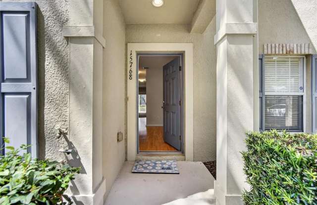 15768 FISHHAWK FALLS Drive Gallery 2