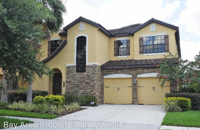 20303 Chestnut Grove Dr. - 20303 Chestnut Grove Drive, Tampa, FL 33647