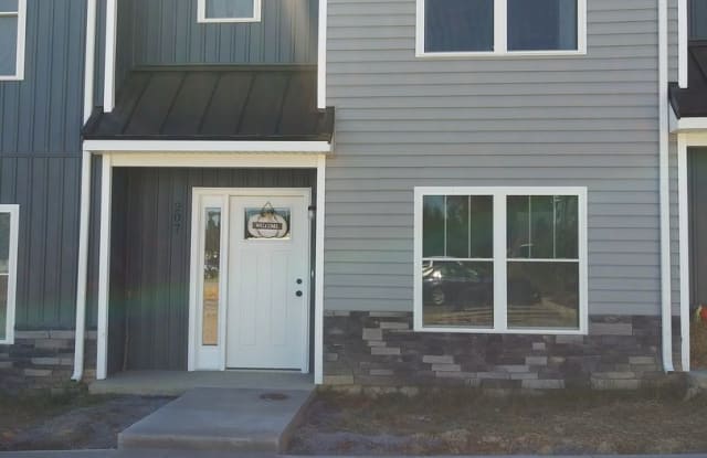 207 Swallow Dr. - 207 Swallow Dr, Elkton, VA 22827