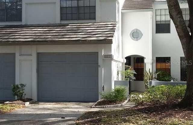 4137 BRENTWOOD PARK CIRCLE - 4137 Brentwood Park Circle, Northdale, FL 33624