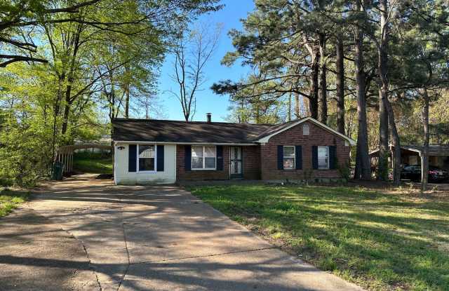 Charming 4 bed 2 bath in Southaven, MS photos photos