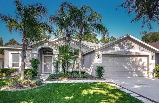 2705 BROOKVILLE DRIVE - 2705 Brookville Drive, Bloomingdale, FL 33596