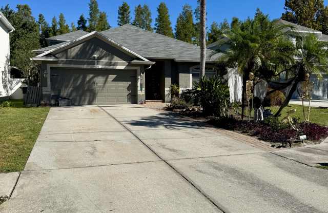 19333 Sandy Springs Circle - 19333 Sandy Springs Circle, Cheval, FL 33558