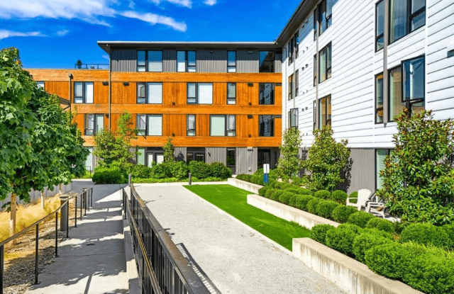 Blis photos photos Blis photos photos