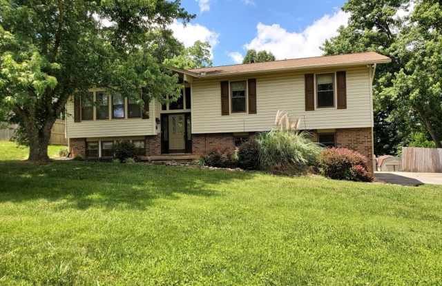 FARRAGUT LIVING OFFERING 4 BEDROOMS AND 2.5 BATHS WITH LARGE BACKYARD - 11511 Foxford Drive, Farragut, TN 37934
