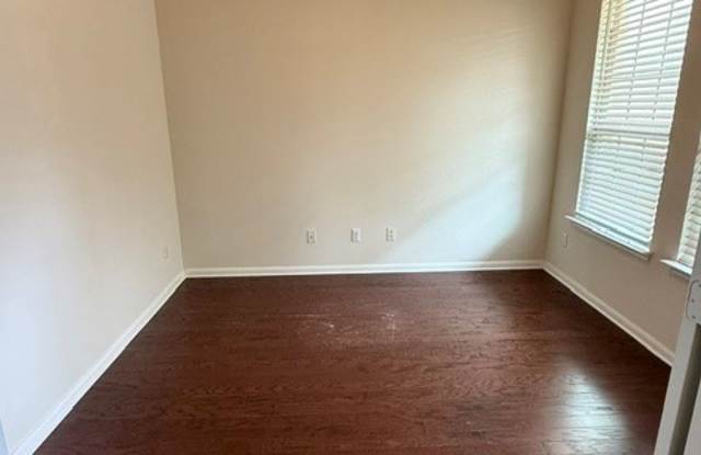 1101 Snow Goose Gallery 4