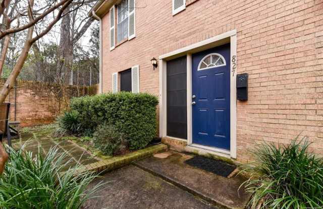 827  E Oltorf ST - 827 East Oltorf Street, Austin, TX 78704