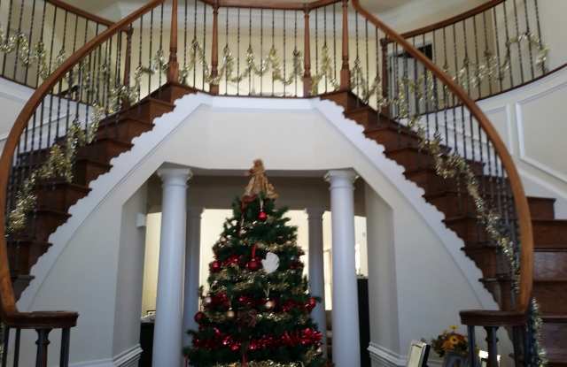 25570 Mimosa Tree Ct. Gallery 2