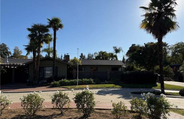 522 E Mariposa Drive photos photos
