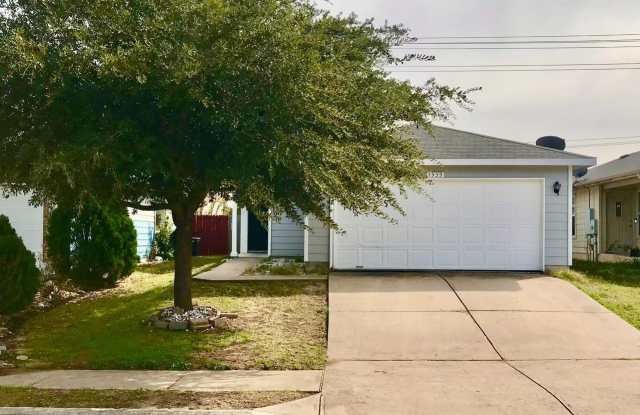 1533 Coriander Dr. - 1533 Coriander Drive, Austin, TX 78741
