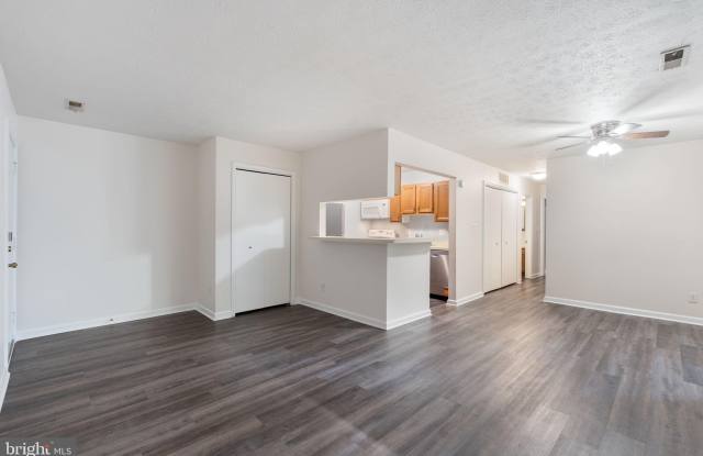23250 CHESTNUT OAK Court Gallery 3