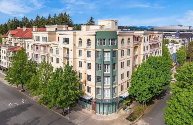 Beautiful 1 bed condo in the heart of Bellevue! Available Now! photos photos