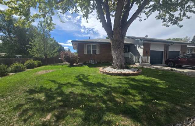 SPACIOUS and Updated 4B/2.5B Now Available in Loveland! Huge Back Yard! Gallery 1