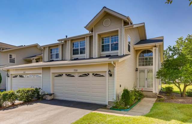 735 Sturnbridge Lane - 735 Sturnbridge Lane, Schaumburg, IL 60173