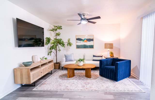 Lyv Austin Gallery 3