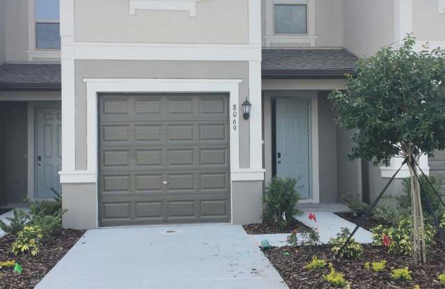 8069 Rolling Shell Trail Wesley Chapel, FL 33545 photos photos