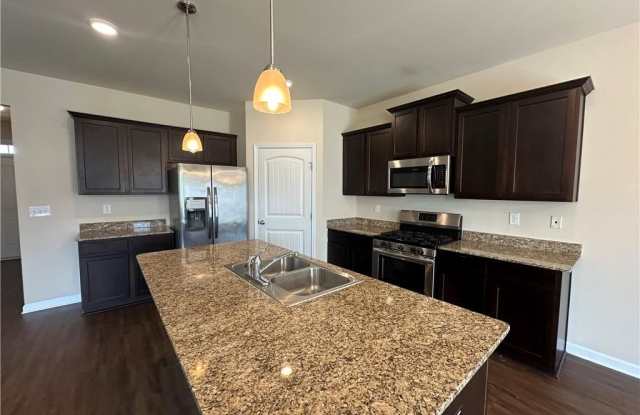 20 Dandelion Court - 20 Dandelion Court, Dawson County, GA 30534