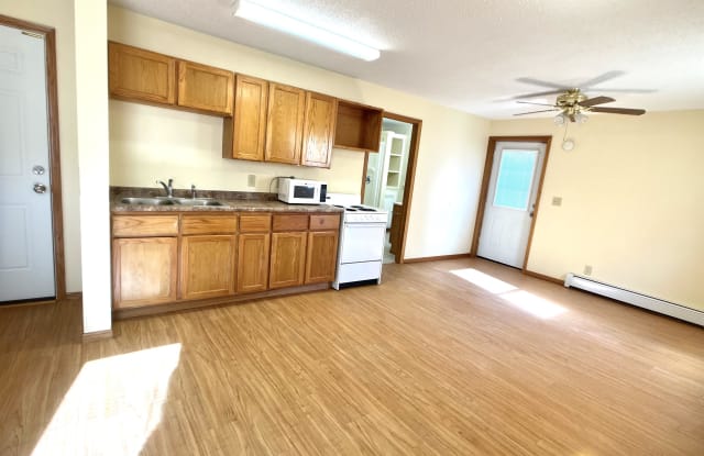 127 Elizabeth Avenue - 4 - 127 Elizabeth Avenue, Albert Lea, MN 56007