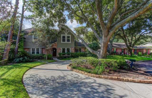 10803 Meadow Lake Lane - 10803 Meadow Lake Lane, Houston, TX 77042