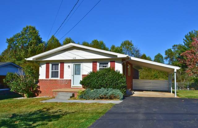 113 Harrell Rd - 113 Harrell Road, Johnson City, TN 37604
