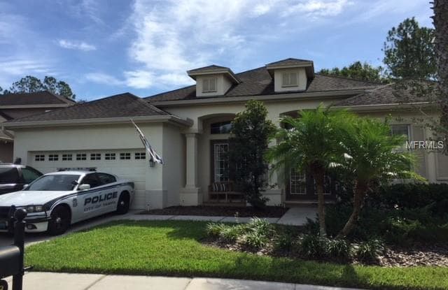 3518 GRASSGLEN PLACE - 3518 Grassglen Place, Wesley Chapel, FL 33544