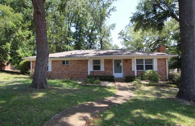 Beautiful 3 bedroom 2 bath in Tyler! photos photos