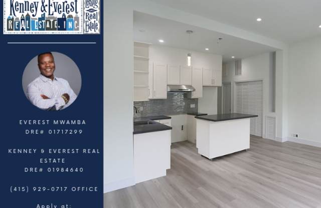 OPEN HOUSE: Sunday (7/20) 1:30pm-2:00pm. Fully remodeled 3BR/1.5BA Inner Mission full flat in a classic Edwardian less than a block from SF General Hospital (1212 Utah) photos photos