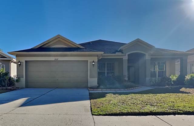 19137 Cherry Rose Circle - 19137 Cherry Rose Circle, Keystone, FL 33558
